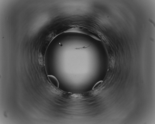X0000097750477200803071252
