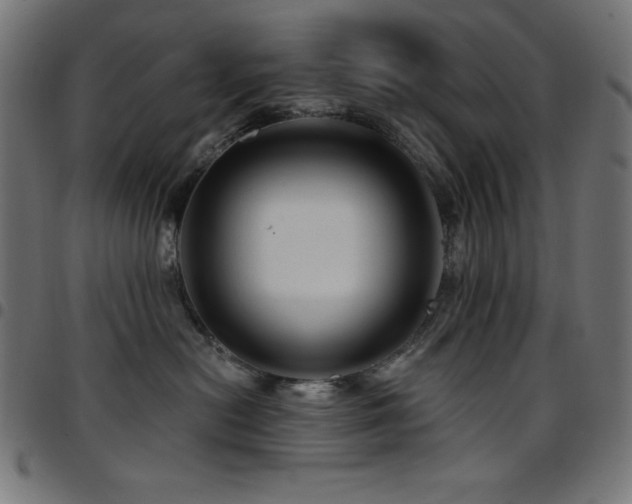 X0000097750478200803071252