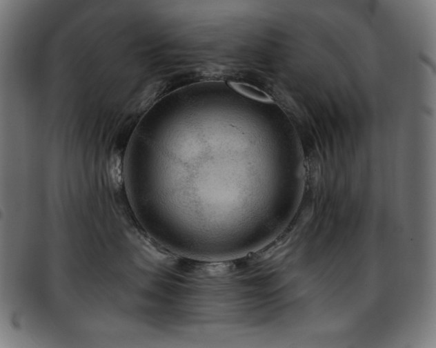 X0000097750479200803071252