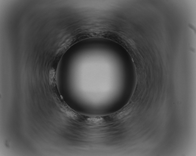 X0000097750480200803071252