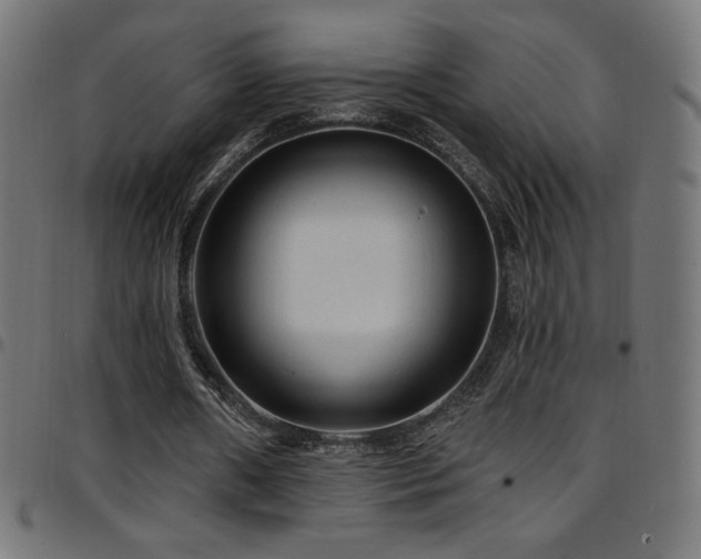 X0000097750482200803071252