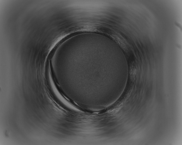 X0000097750484200803071252