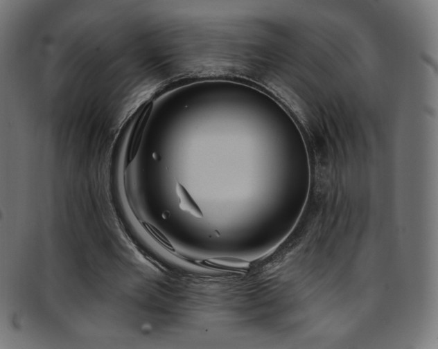 X0000097750485200803071252