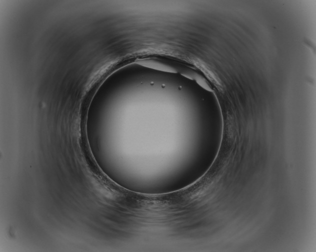 X0000097750486200803071252