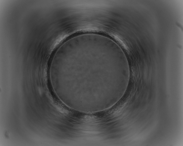 X0000097750487200803071252