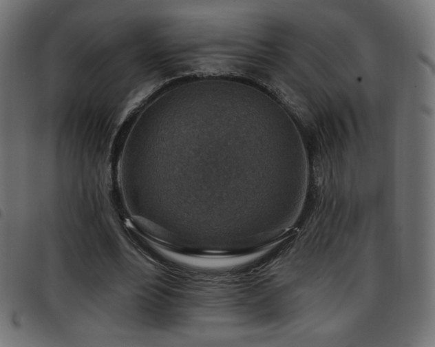 X0000097750488200803071252