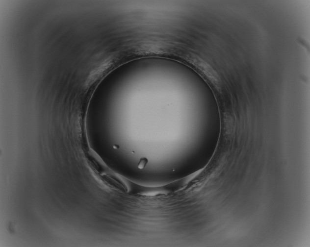 X0000097750489200803071252