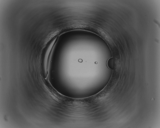 X0000097750490200803071252