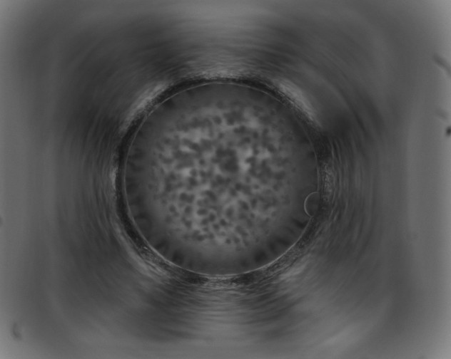X0000097750491200803071252