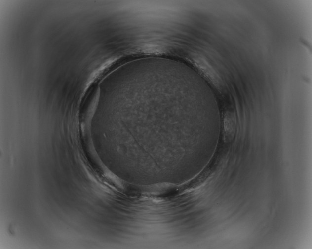 X0000097750492200803071252