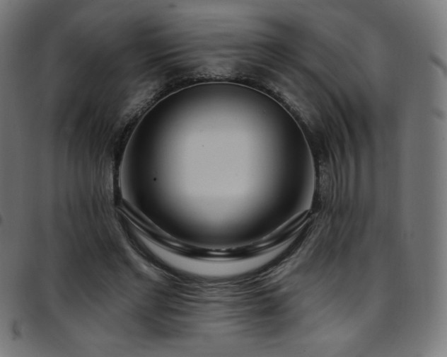 X0000097750493200803071252