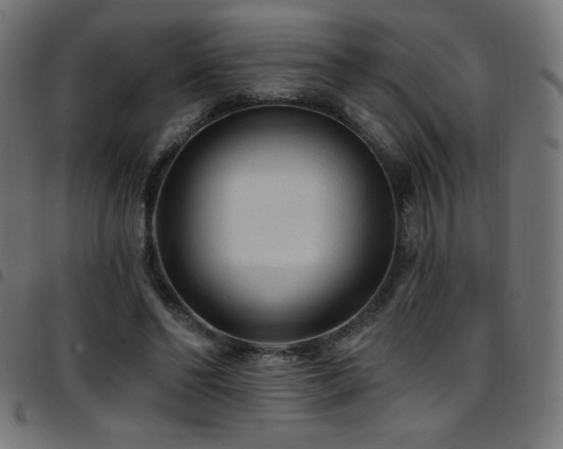 X0000097750494200803071252