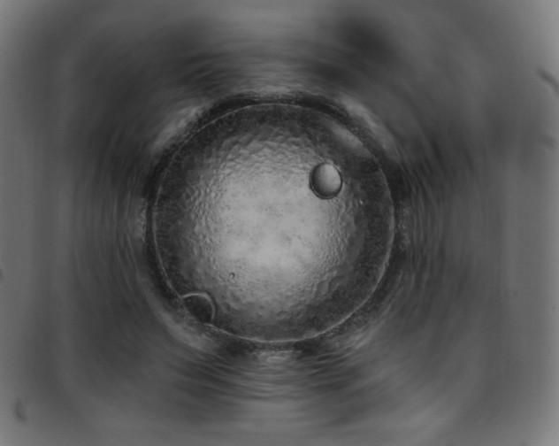 X0000097750495200803071252