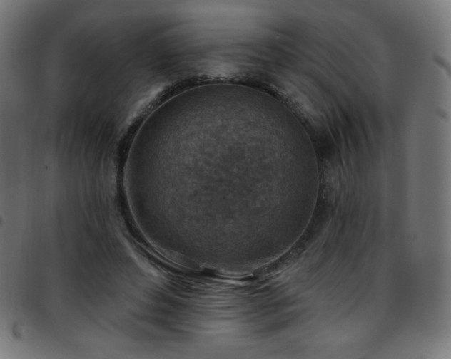 X0000097750496200803071252