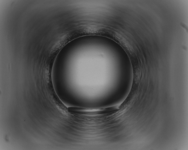 X0000097750497200803071252