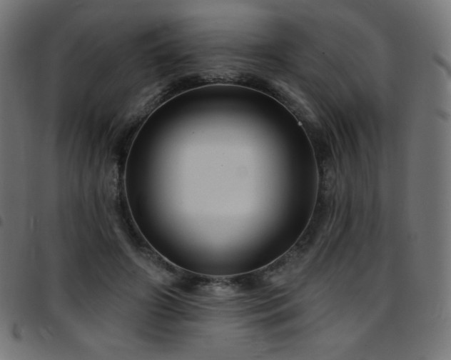 X0000097750498200803071252