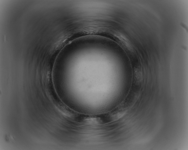 X0000097750499200803071252