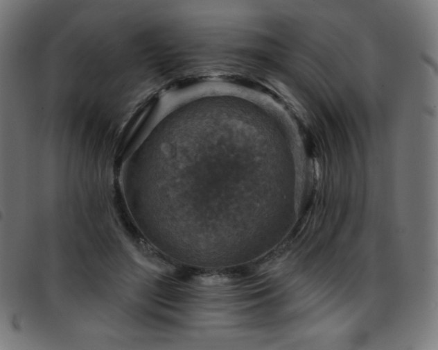 X0000097750500200803071251