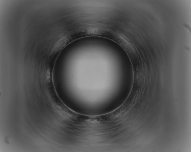 X0000097750502200803071251