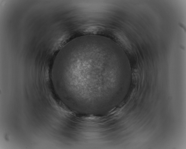 X0000097750504200803071251