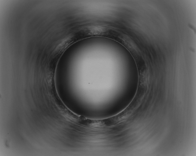 X0000097750505200803071251