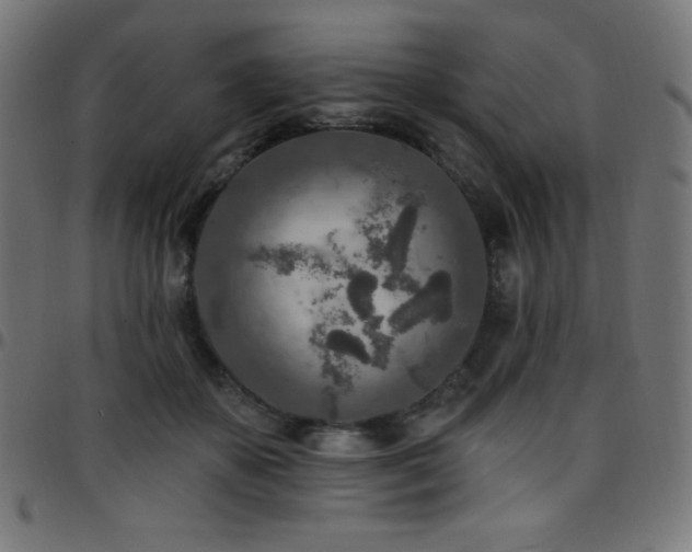 X0000097750507200803071251