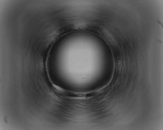 X0000097750508200803071251