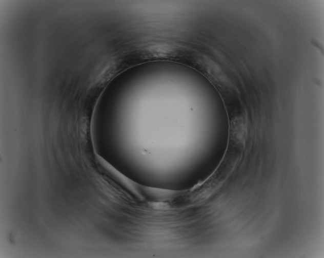 X0000097750509200803071251