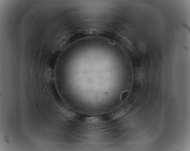 X0000097750511200803071251