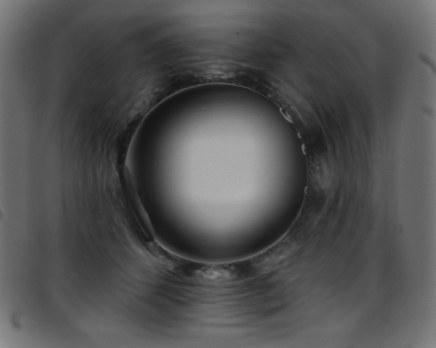 X0000097750512200803071251