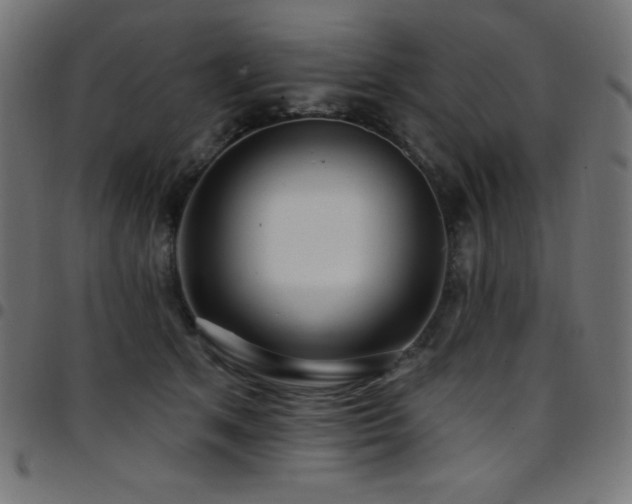 X0000097750513200803071251