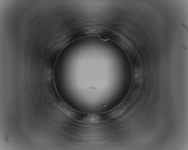 X0000097750514200803071251