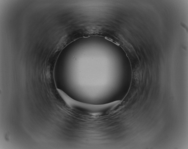 X0000097750516200803071251