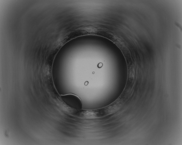 X0000097750518200803071251