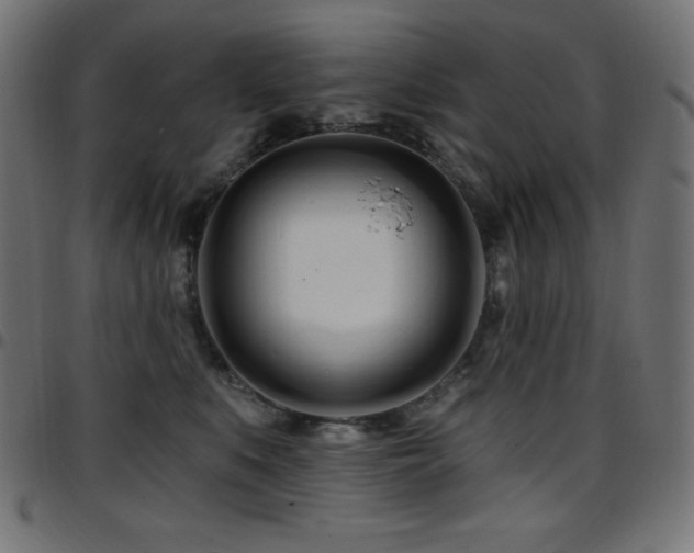 X0000097750519200803071251