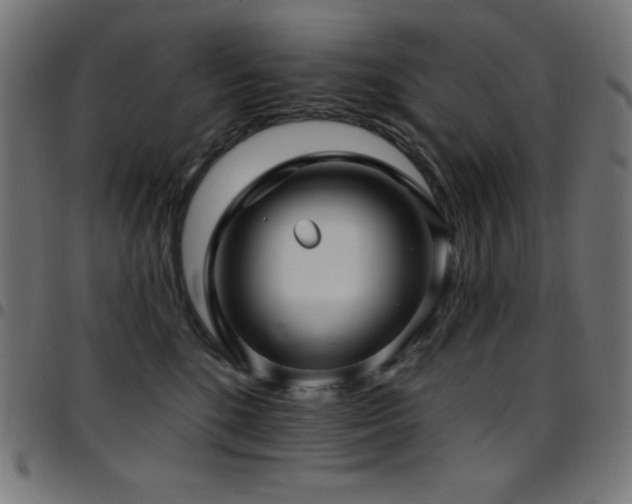 X0000097750520200803071251