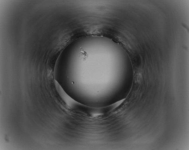 X0000097750521200803071251