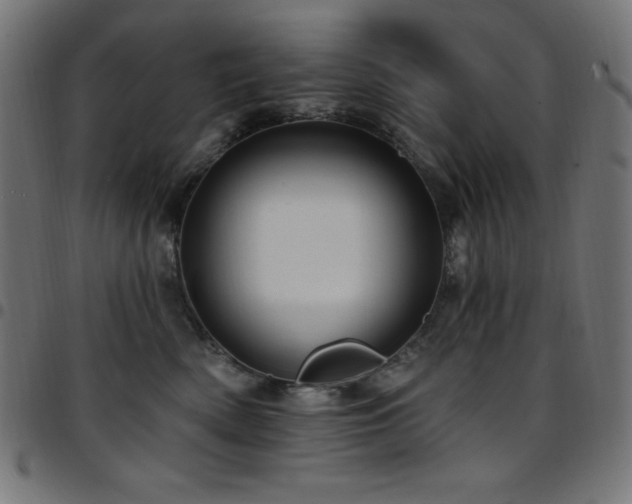 X0000097750522200803071251