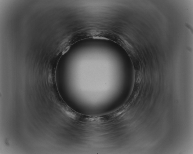 X0000097750524200803071251
