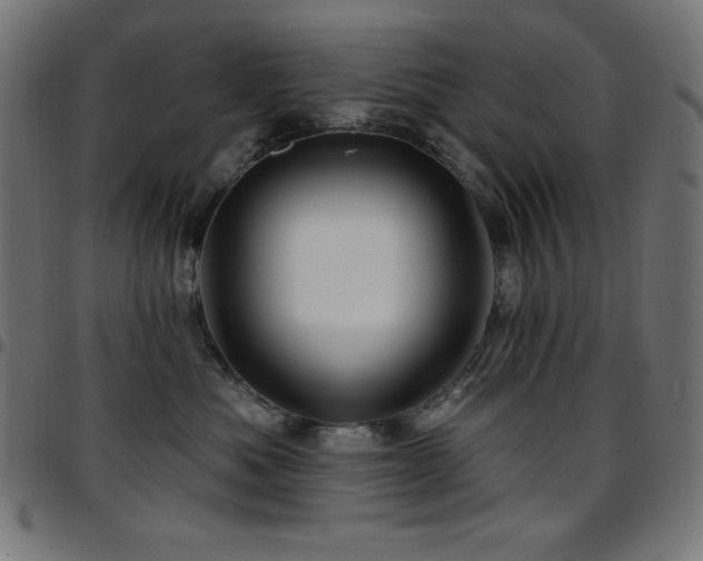 X0000097750525200803071251