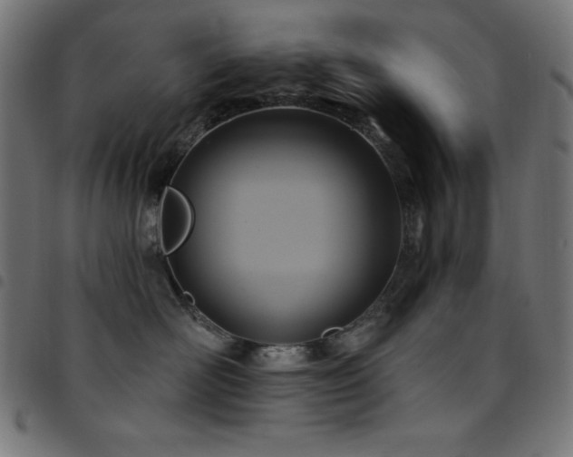 X0000097750526200803071251