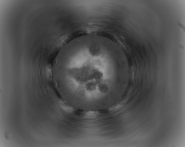 X0000097750527200803071251