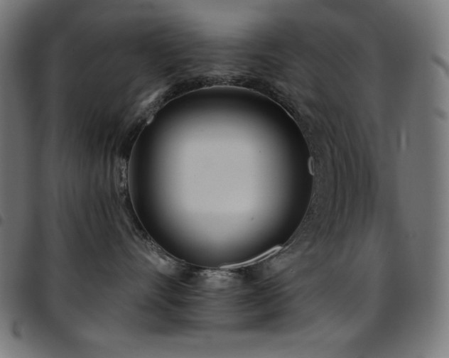 X0000097750528200803071251