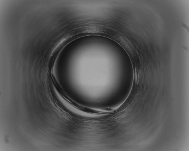 X0000097750531200803071250