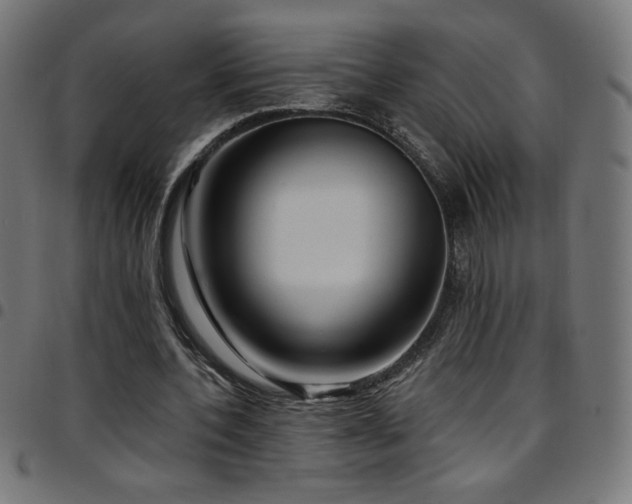 X0000097750532200803071250