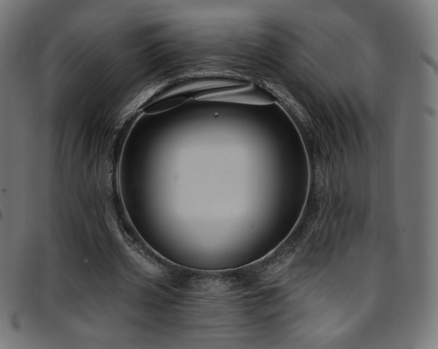 X0000097750533200803071250
