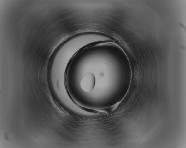 X0000097750534200803071250