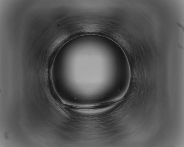 X0000097750535200803071250