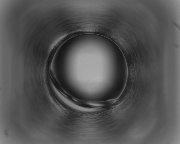 X0000097750536200803071251