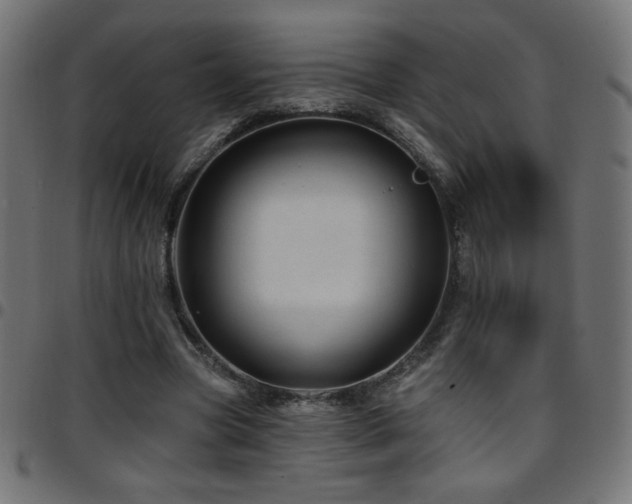 X0000097750537200803071251